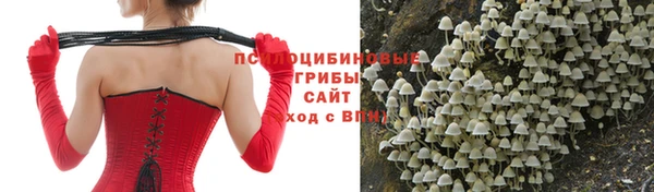 кокаин VHQ Алексеевка