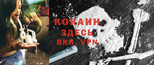 стафф Алзамай