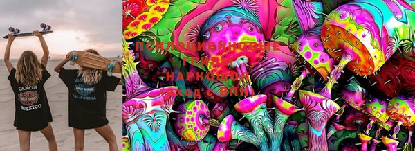 PSILOCYBIN Алексин