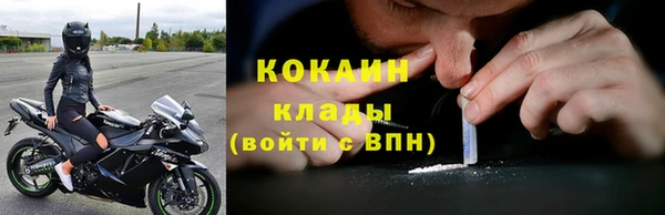 стафф Алзамай
