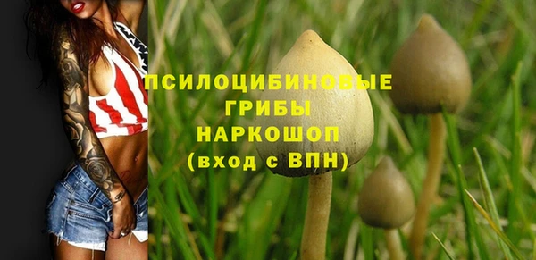 синтетический гашиш Заволжск