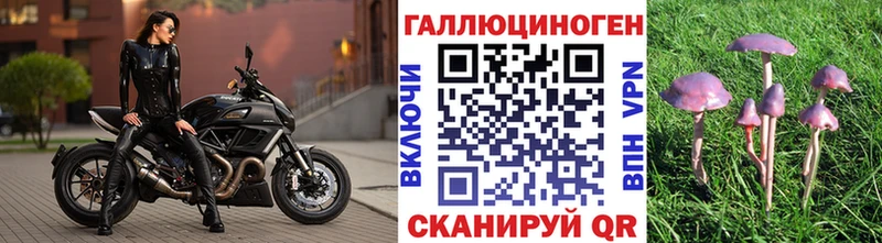 omg как зайти  Нерехта  Псилоцибиновые грибы прущие грибы  закладка 